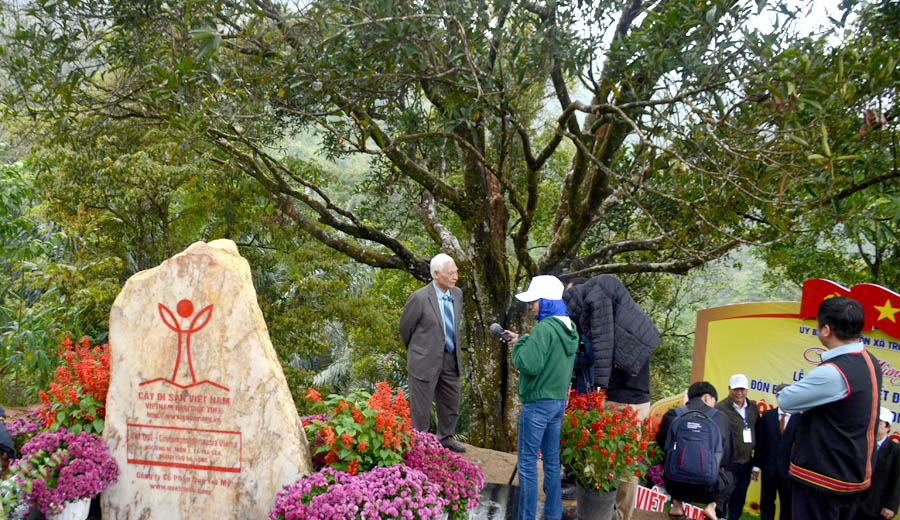 C&acirc;y[-]Quế[-]đầu[-]ti&ecirc;n[-]được[-]c&ocirc;ng[-]nhận[-]C&acirc;y[-]Di[-]sản[-]Việt[-]Nam